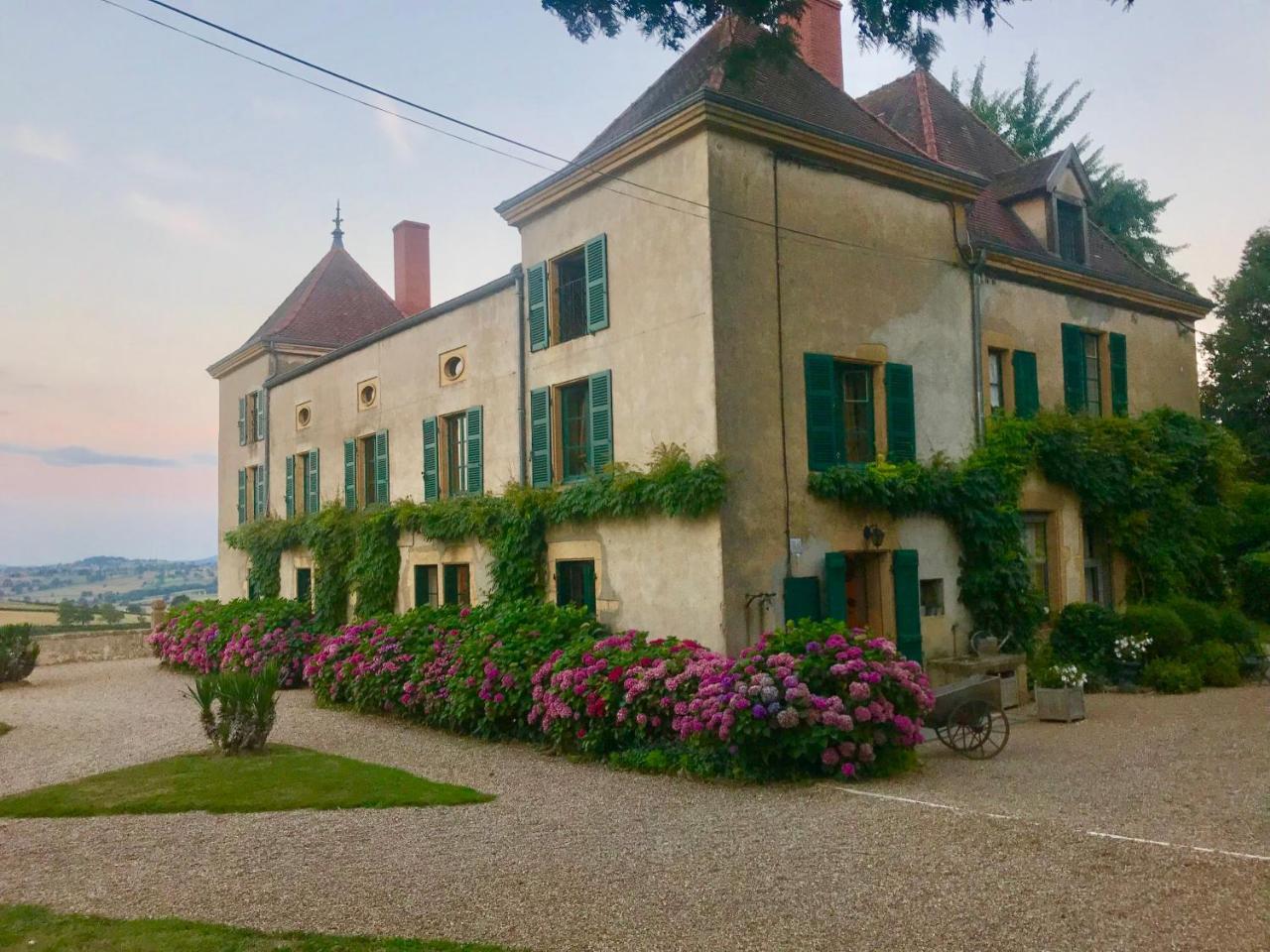 Chateau De Martigny Poisson Exterior foto